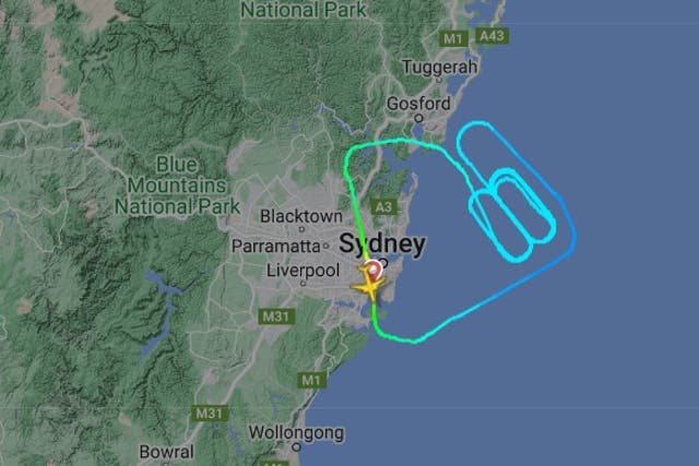 <p>Passengers sat for two hours as the plane circled close to Sydney</p>