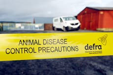 More than 7m captive birds have died or been culled for bird flu disease control