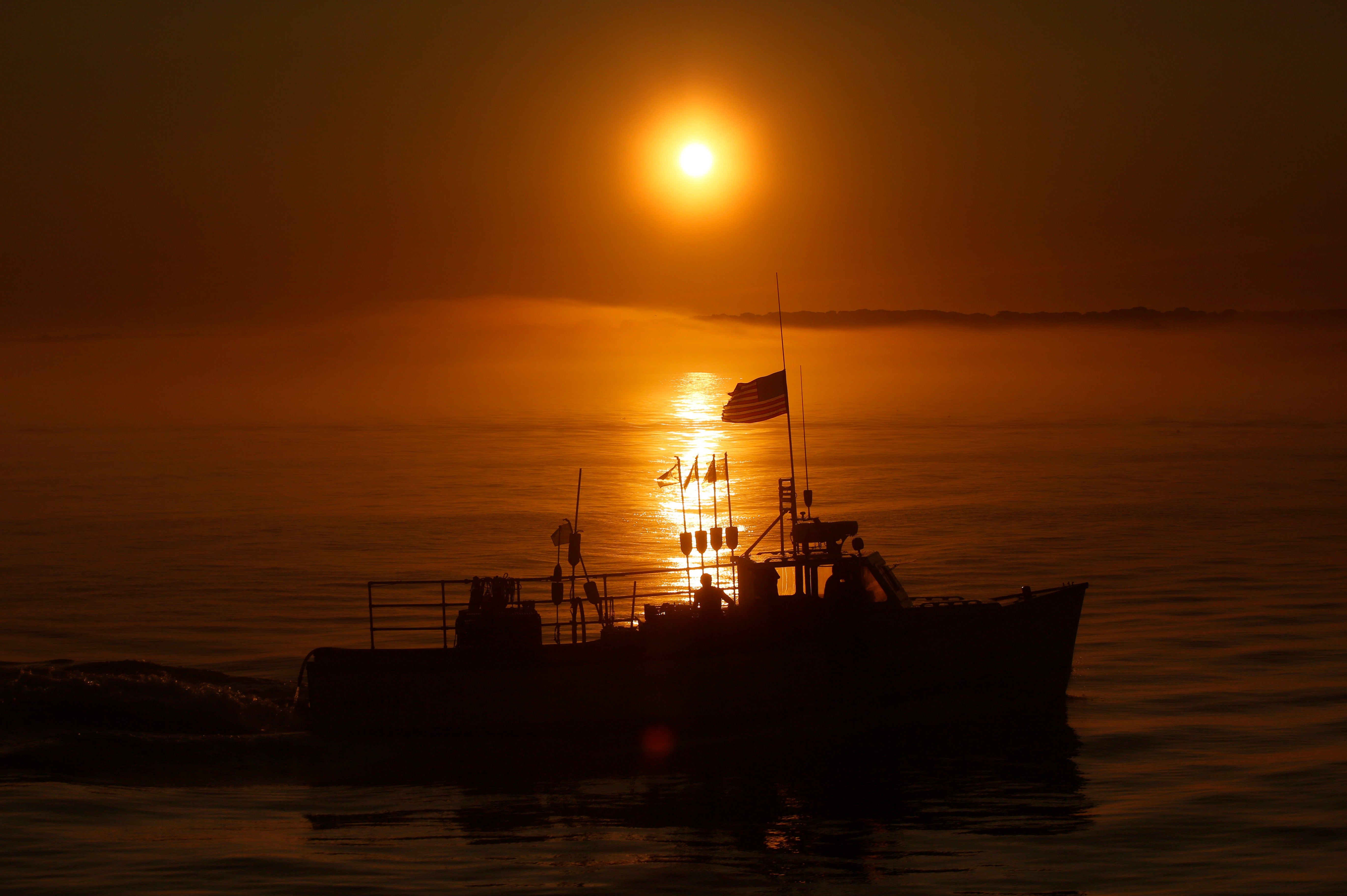 Warming Oceans Tiny Organisms