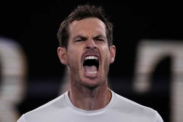 Andy Murray was a winner in Melbourne (AP)