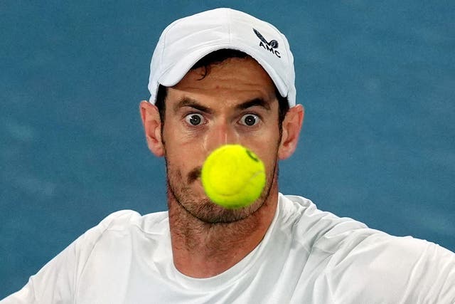 <p>Andy Murray in action during his second round match against Thanasi Kokkinakis at the Australian Open</p>