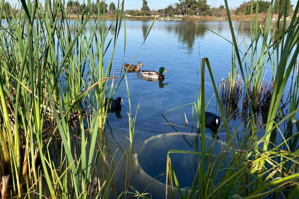 California storms do damage, but also… water