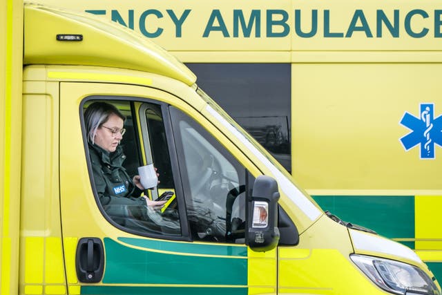 <p>Ambulance workers are striking on Monday over pay and staffing  (Danny Lawson/PA)</p>