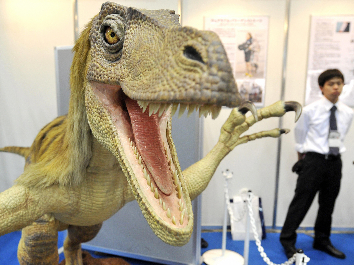 Velociraptor may not have used claws for slashing after all, says study