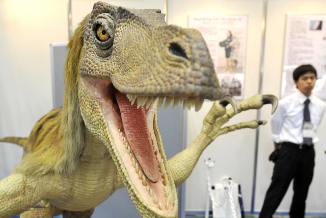 <p>File: A robotic velociraptor dinosaur opens its mouth to scare visitors at an exhibition in Tokyo in 2008</p>