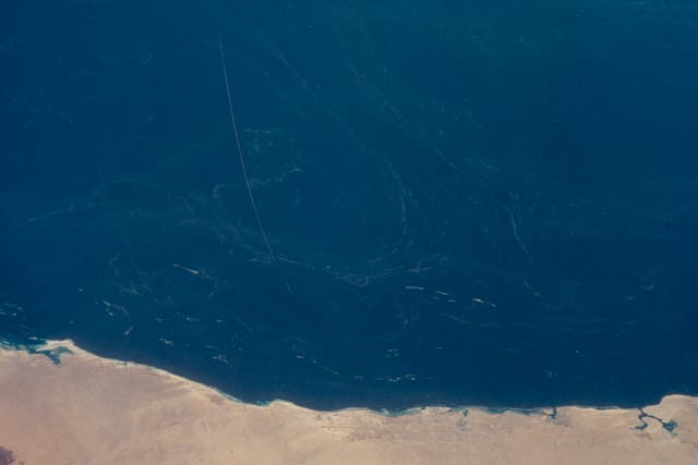 <p>The Red Sea off the coast of Saudi Arabia, which Professor Ibrahim Hoteit’s team has been creating climate models around </p>