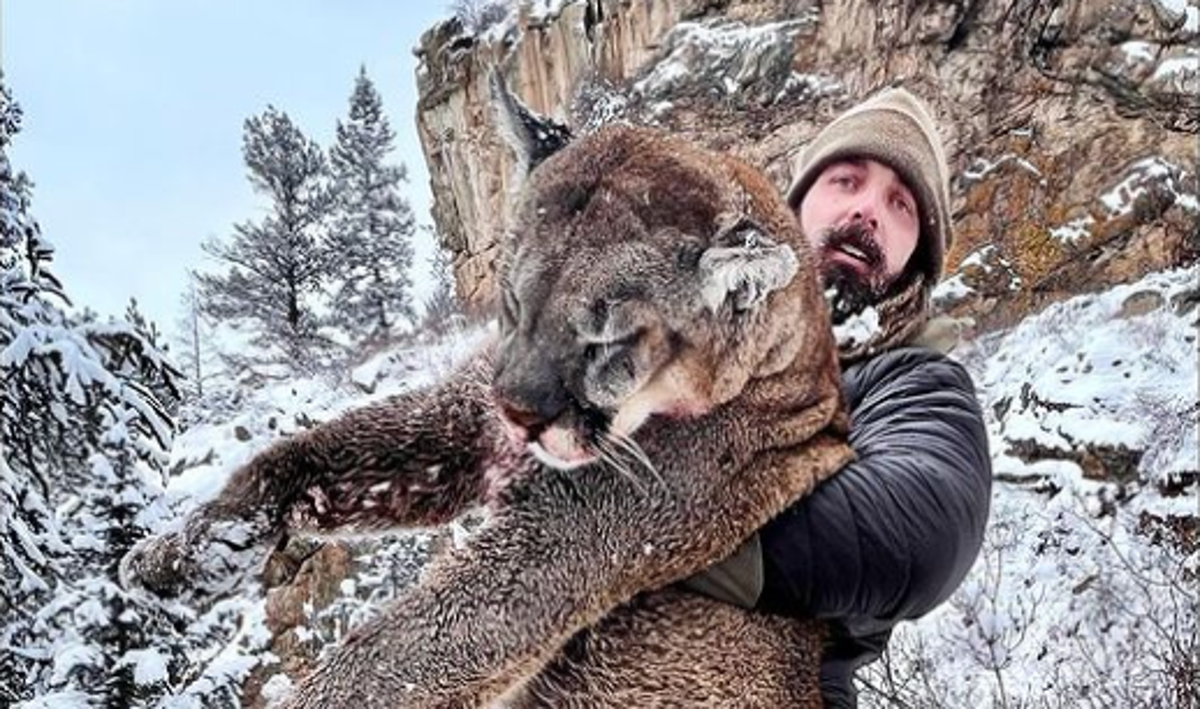 NFL star hit with backlash for hunting giant mountain lion with bow and arrow