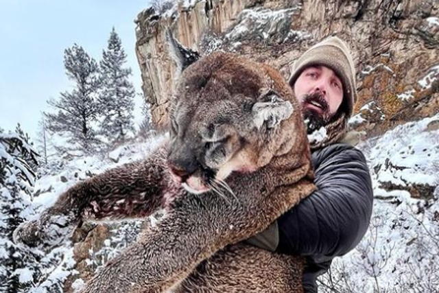 <p>Former NFL defensive end Derek Wolfe boasted of killing a mountain lion</p>