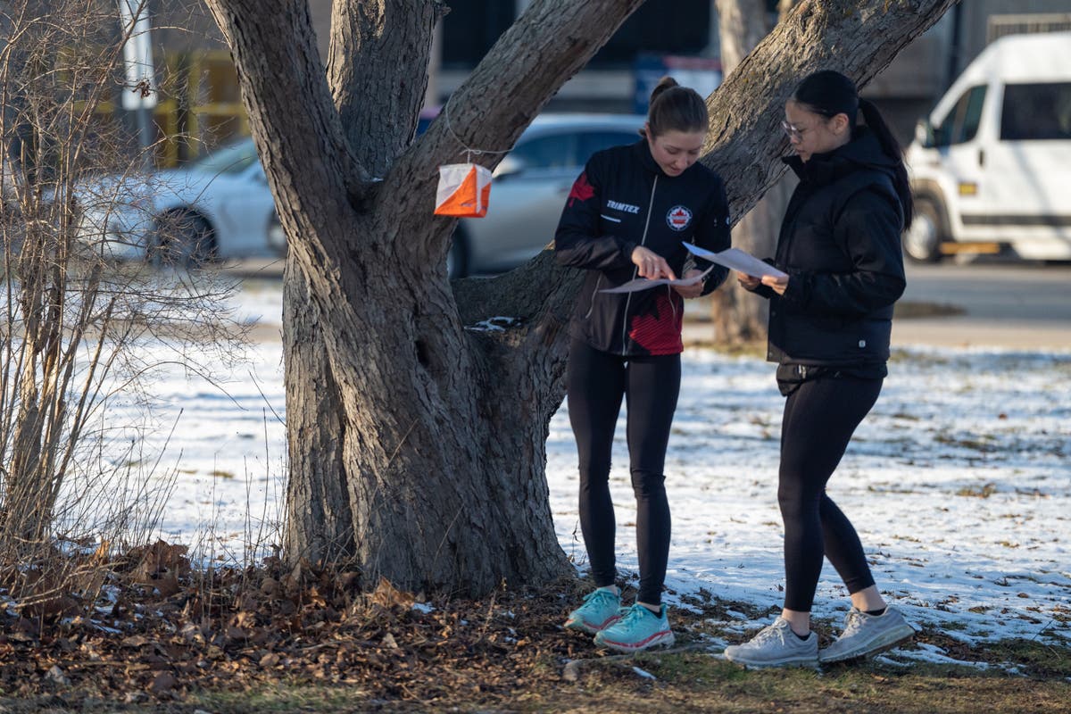 Scientists find unusual outdoor activity can help stave off dementia