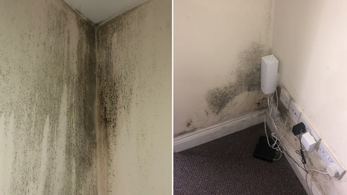 Mother claims three children struggling to breathe in mould-covered Hounslow flat