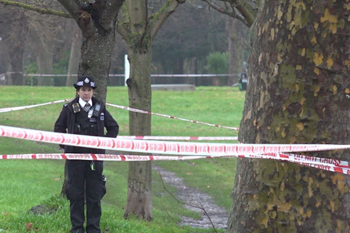 Two teenagers appear in court charged with murder after man stabbed in park