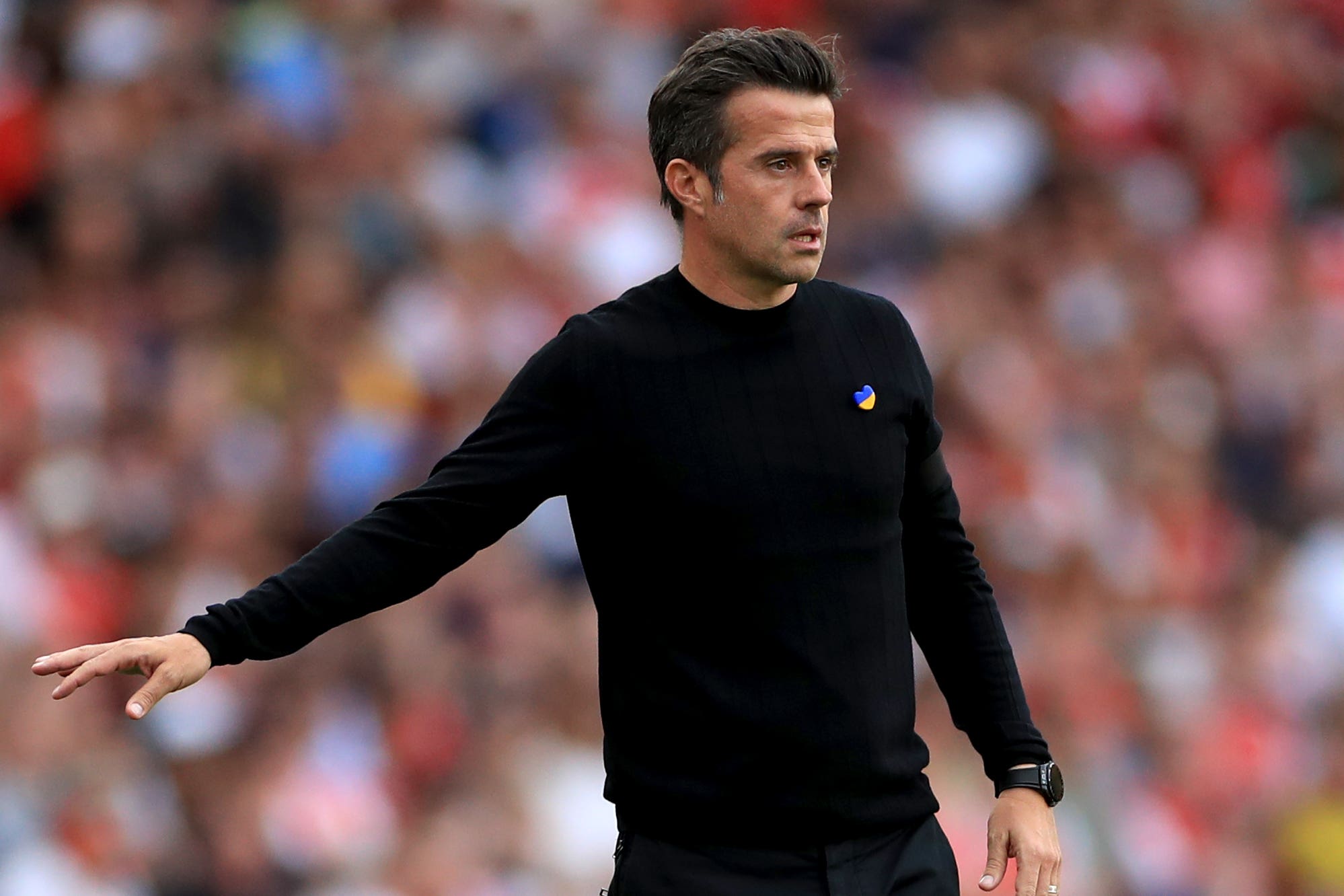 Fulham boss Marco Silva: We are really an ambitious football club