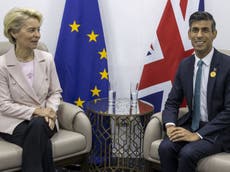 Brexit: Rishi Sunak wants top security adviser to help get protocol deal with EU