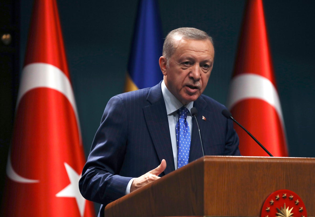 Erdogan announces Turkish elections to be held on May 14