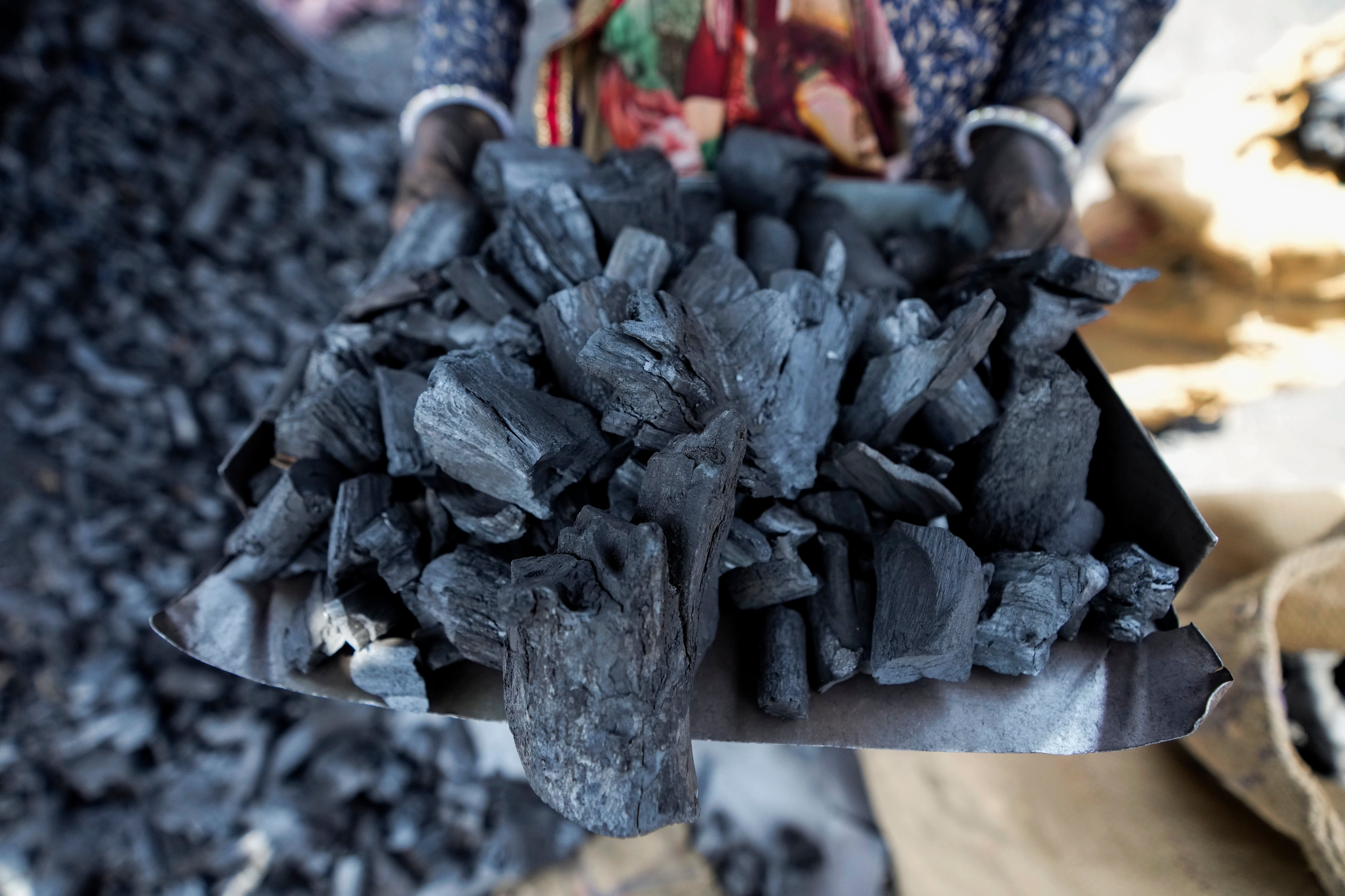 Climate India Energy Mix