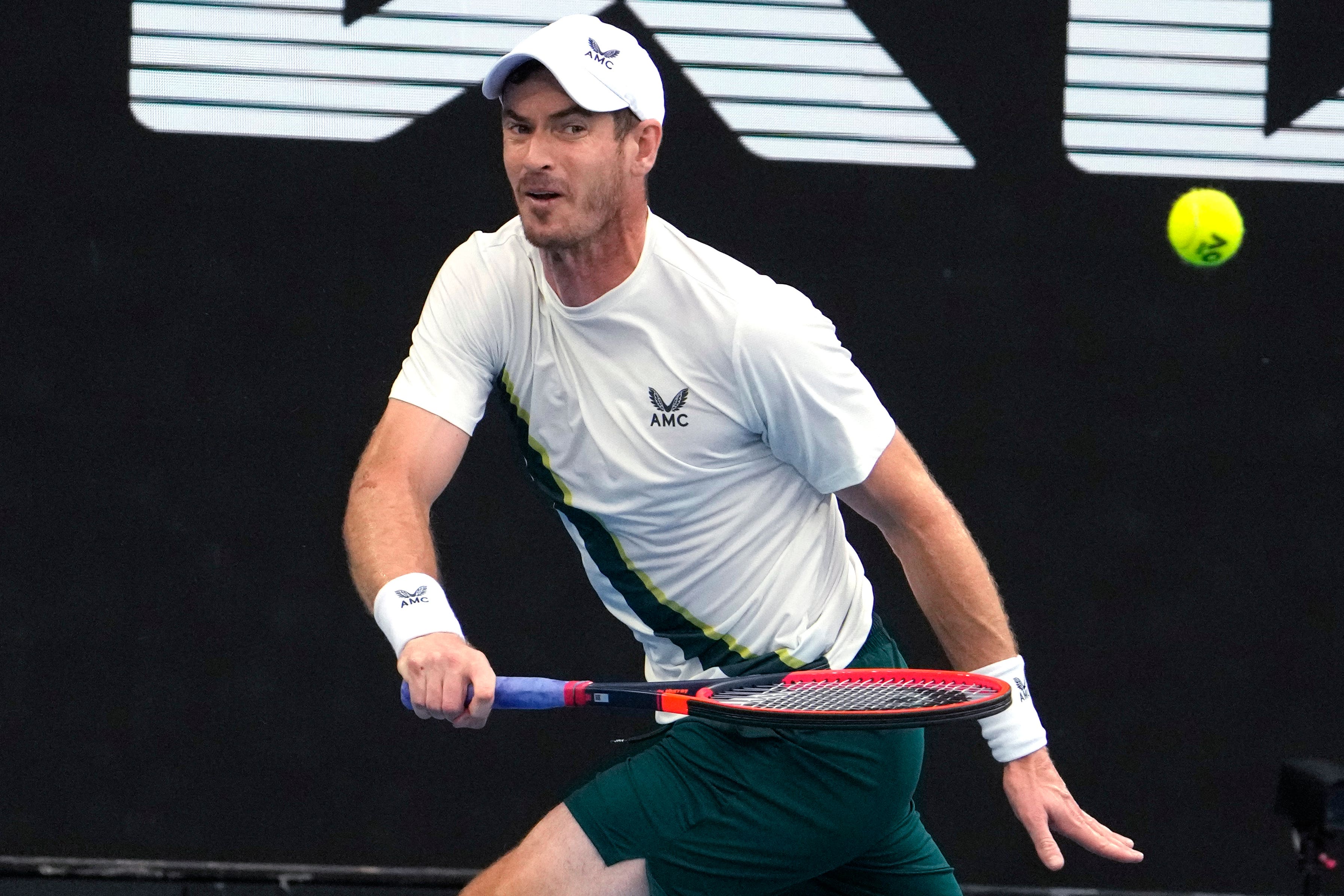 Andy Murray tipped to do damage at Wimbledon after Australian Open run The Independent
