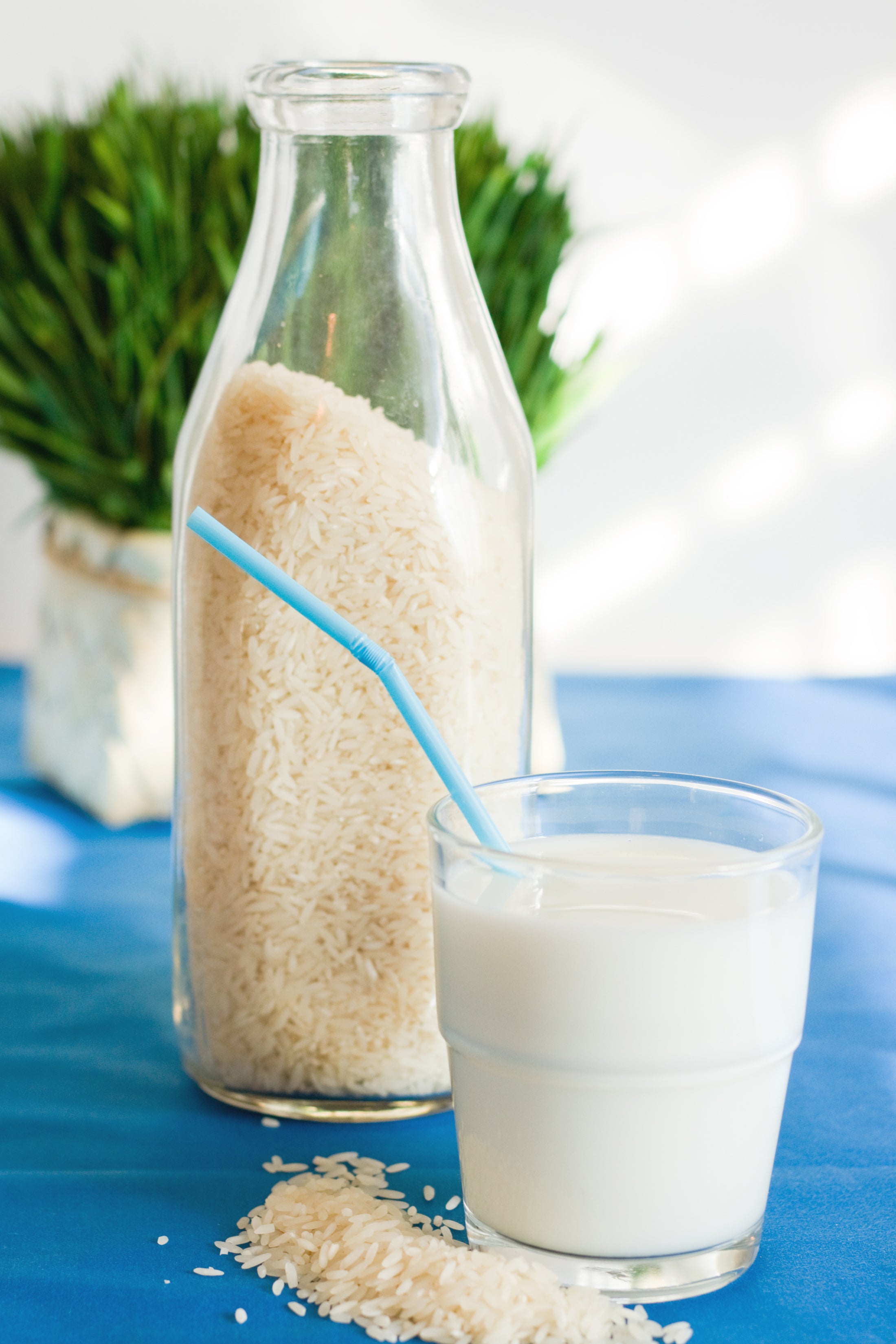 Rice milk is a good alternative for those with nut or soya allergies