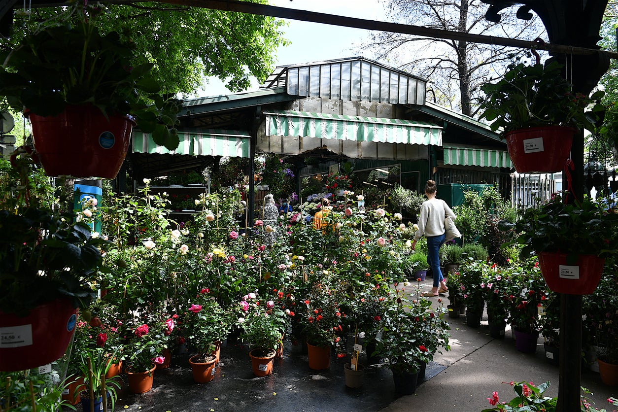 Be sure to pick up fresh blooms from Ile de la Cite flower market