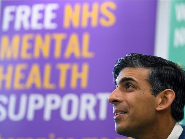 <p>Rishi Sunak attends a meeting with doctors and clinicians, discussing mental health facilities and support on Monday</p>