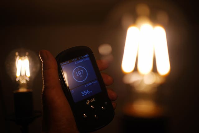 Households could be paid on both Monday and Tuesday to reduce their electricity usage (Yui Mok/PA)