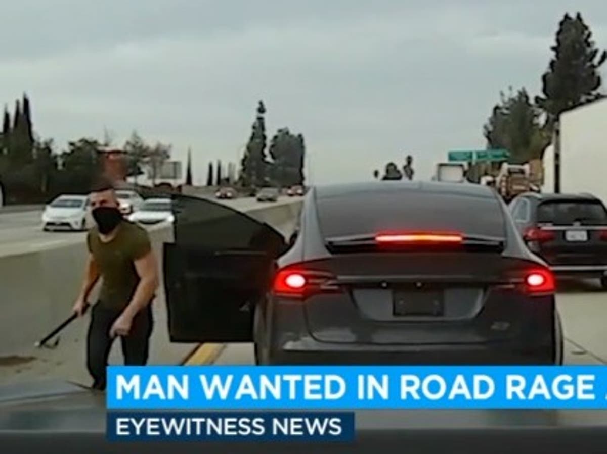 ‘Tesla terroriser’ suspect accused of road rage attacks on drivers on California highways is identified