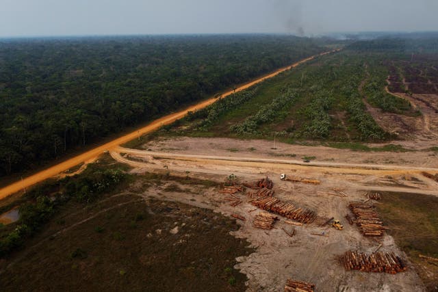 <p>The Amazon rainforest on fire near a logging area in the Transamazonica highway region, Brazil on September 17, 2022</p>