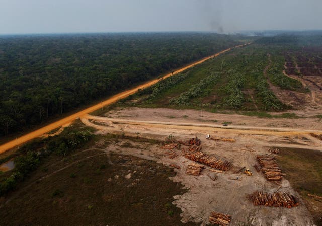 <p>The Amazon rainforest on fire near a logging area in the Transamazonica highway region, Brazil on September 17, 2022</p>