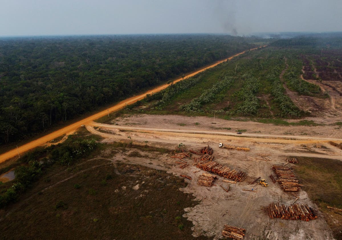 Humans are killing nearly 40% of the remaining Amazon rainforest