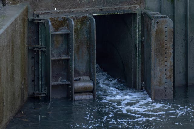 <p>A sewage overflow outlet discharges into the River Thames in November</p>