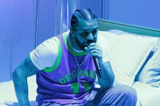 Drake pauses New York concert after man falls from balcony