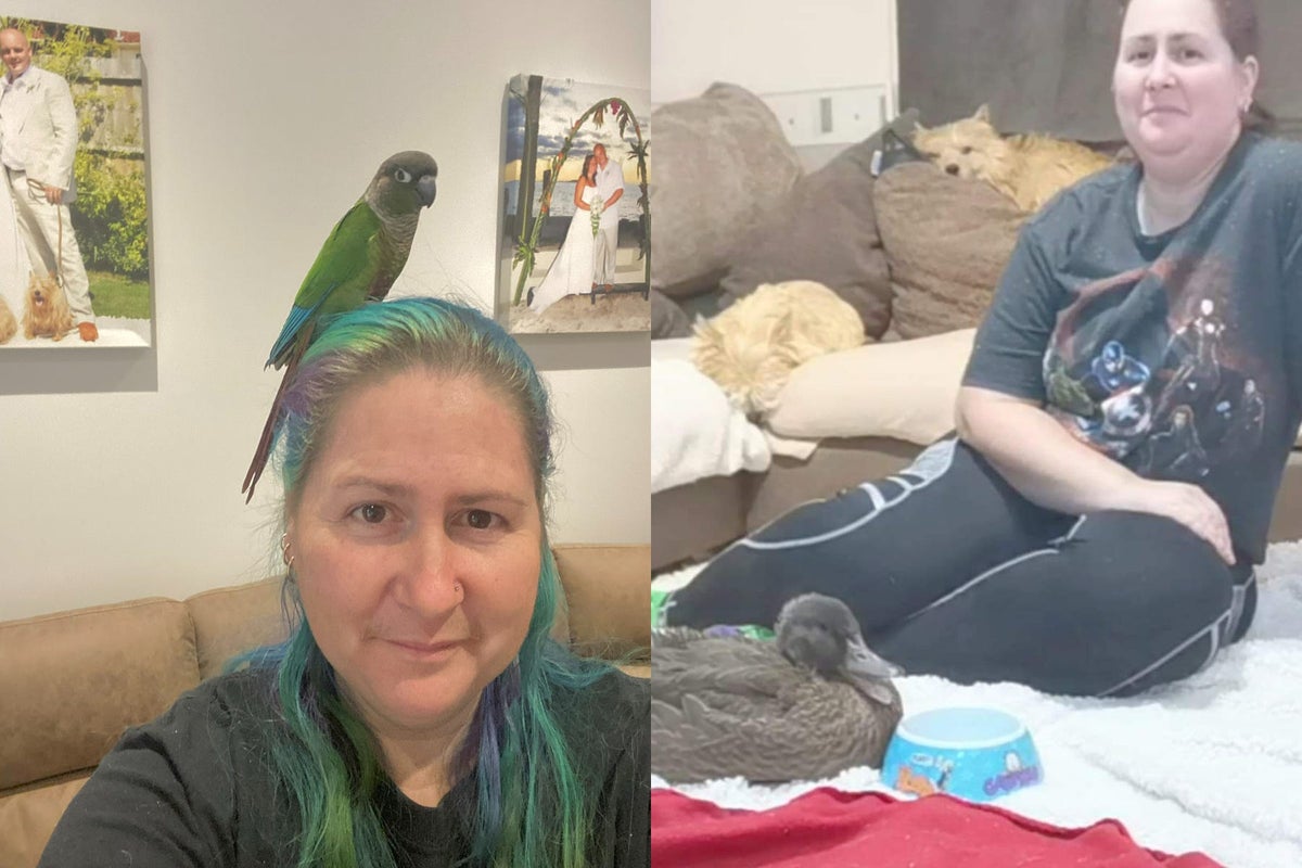 Woman claims her 31 ducks, 25 chickens, nine quails, four cockerels, three dogs, two parrots, hamster and ferret have helped ease her chronic pain