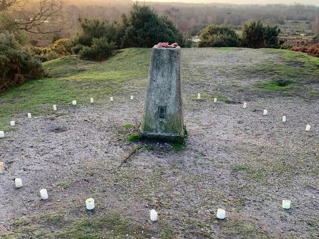 <p>The pig hearts were placed on top of a mound</p>