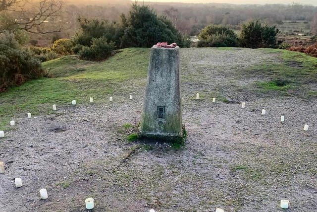 <p>The pig hearts were placed on top of a mound</p>