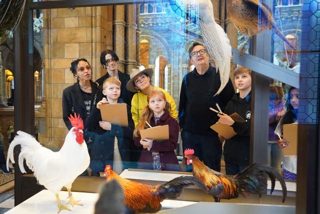 Mark Wallinger (second right) and artist Es Devlin (centre) help children with their drawings during the launch of the Wild Escape project at London’s Natural History Museum (James Manning/PA)