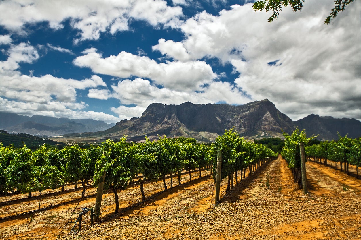 Franschhoek is all about wine tasting