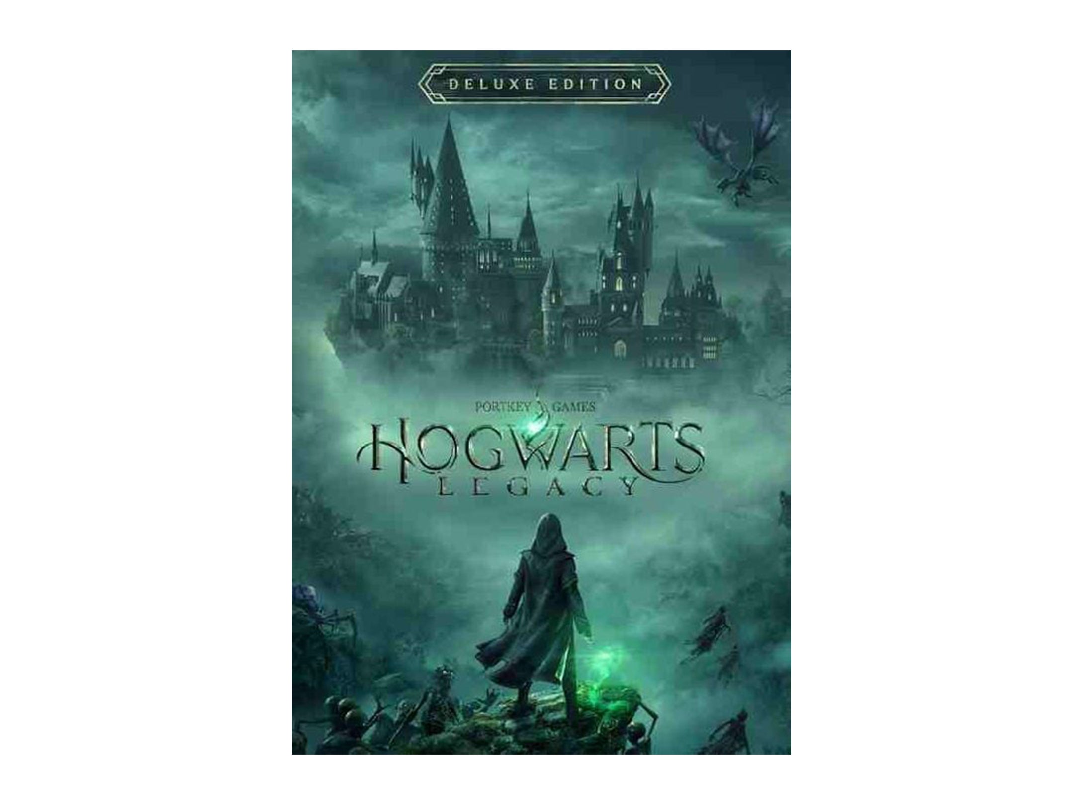 Hogwarts Legacy - Onyx Hippogriff Mount DLC Steam CD Key