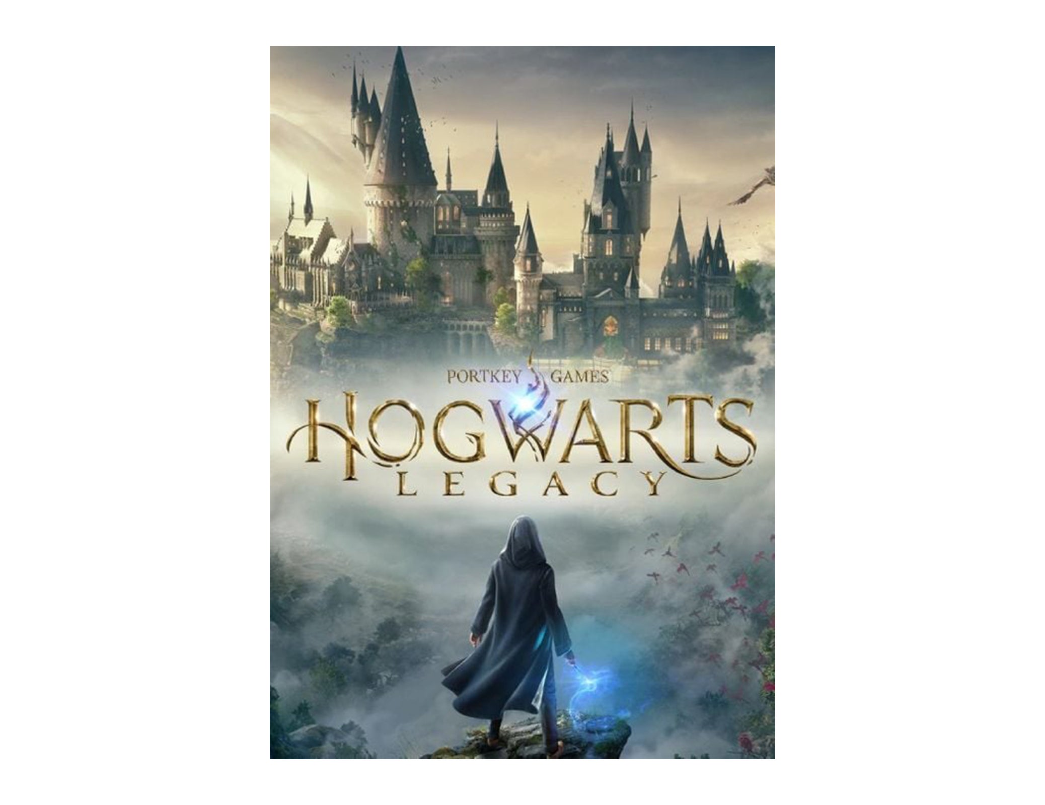 First images of Hogwarts Legacy on Nintendo Switch: is it worth it