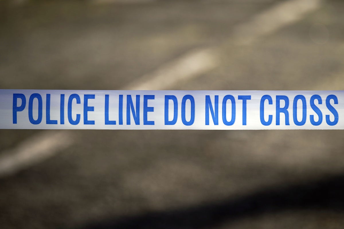 14-year-old boy arrested after teenage girl stabbed at south Manchester school