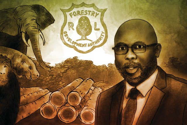 Liberia-Forest-Investigation
