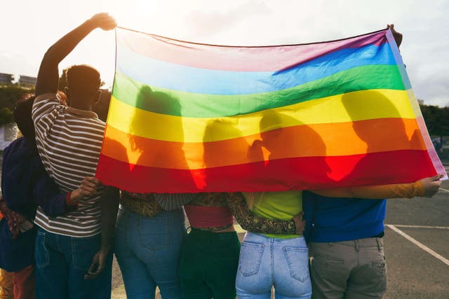 Around one in 14 young people in England and Wales identify as lesbian, gay, bisexual or another minority sexual orientation (Alamy/PA)