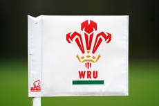 ‘We will get this right’: WRU chair vows to tackle racist, homophobic and sexist bullying