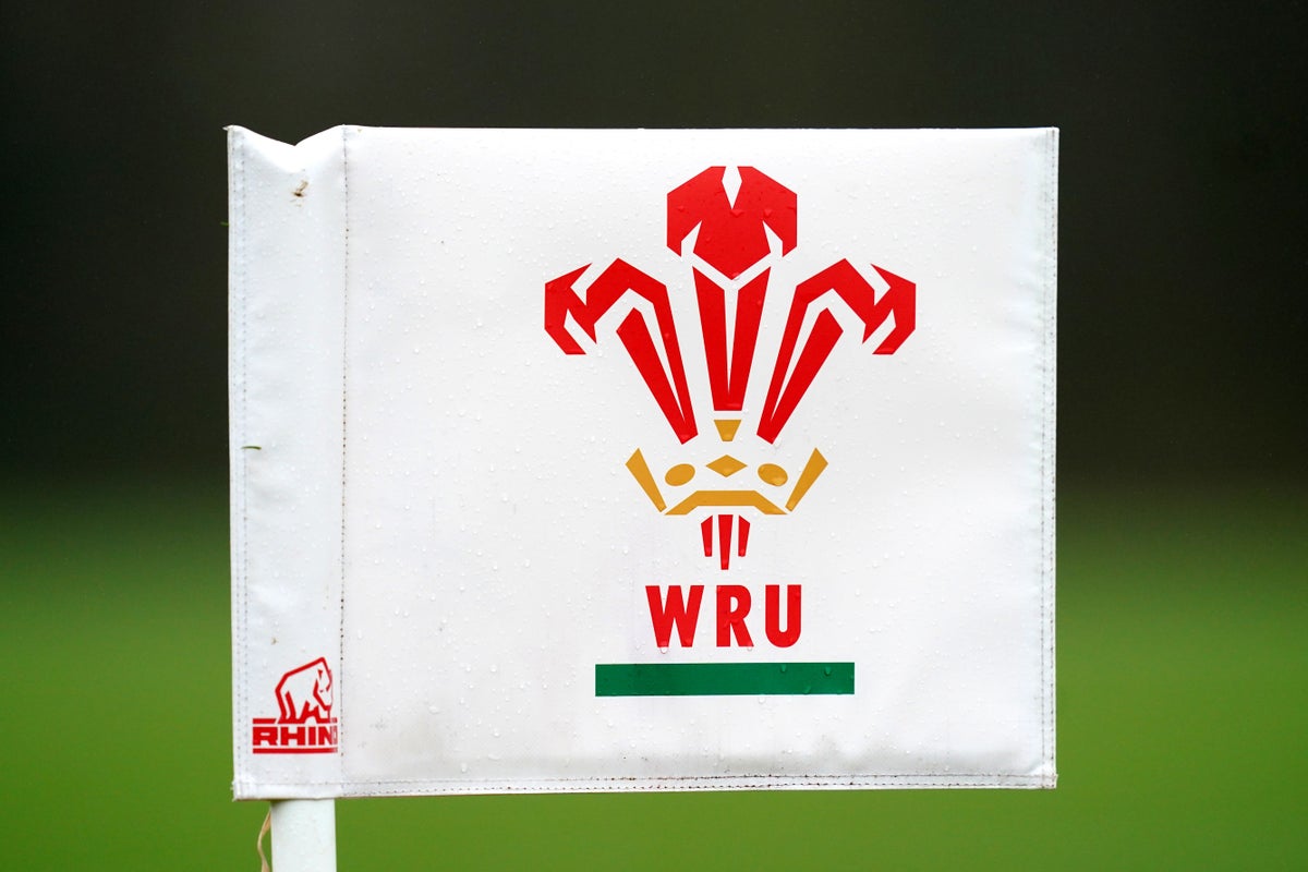 ‘We will get this right’: WRU chair vows to tackle racist, homophobic and sexist bullying