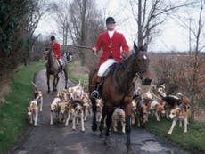 Scotland bans trail-hunting but campaigners fear hunters ‘may exploit loopholes’