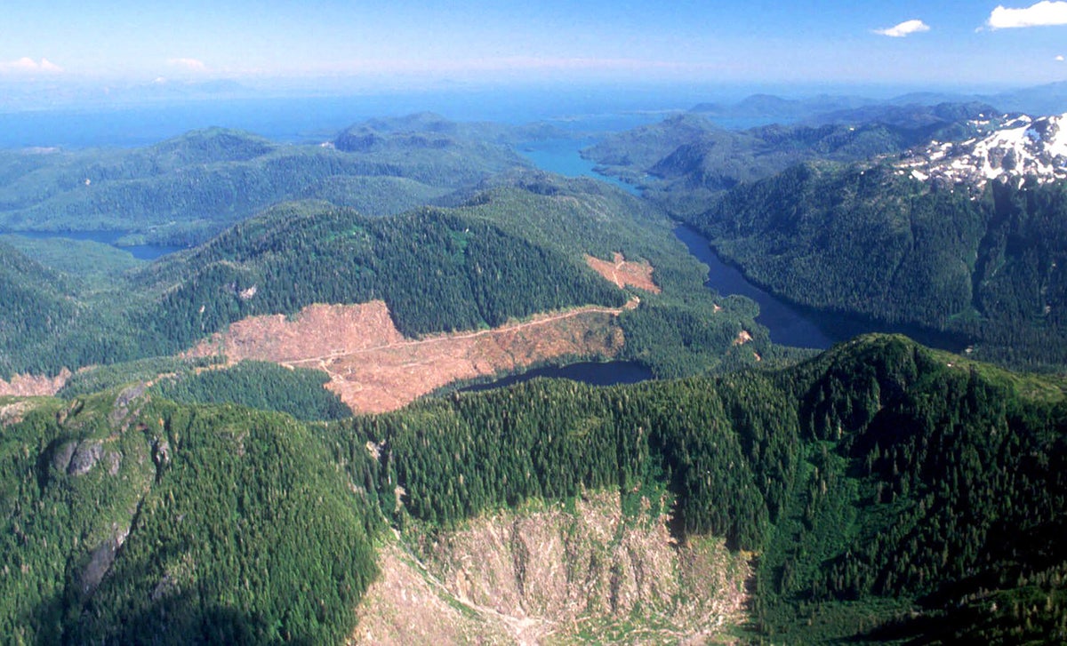 US reinstates road, logging restrictions on Alaska forest