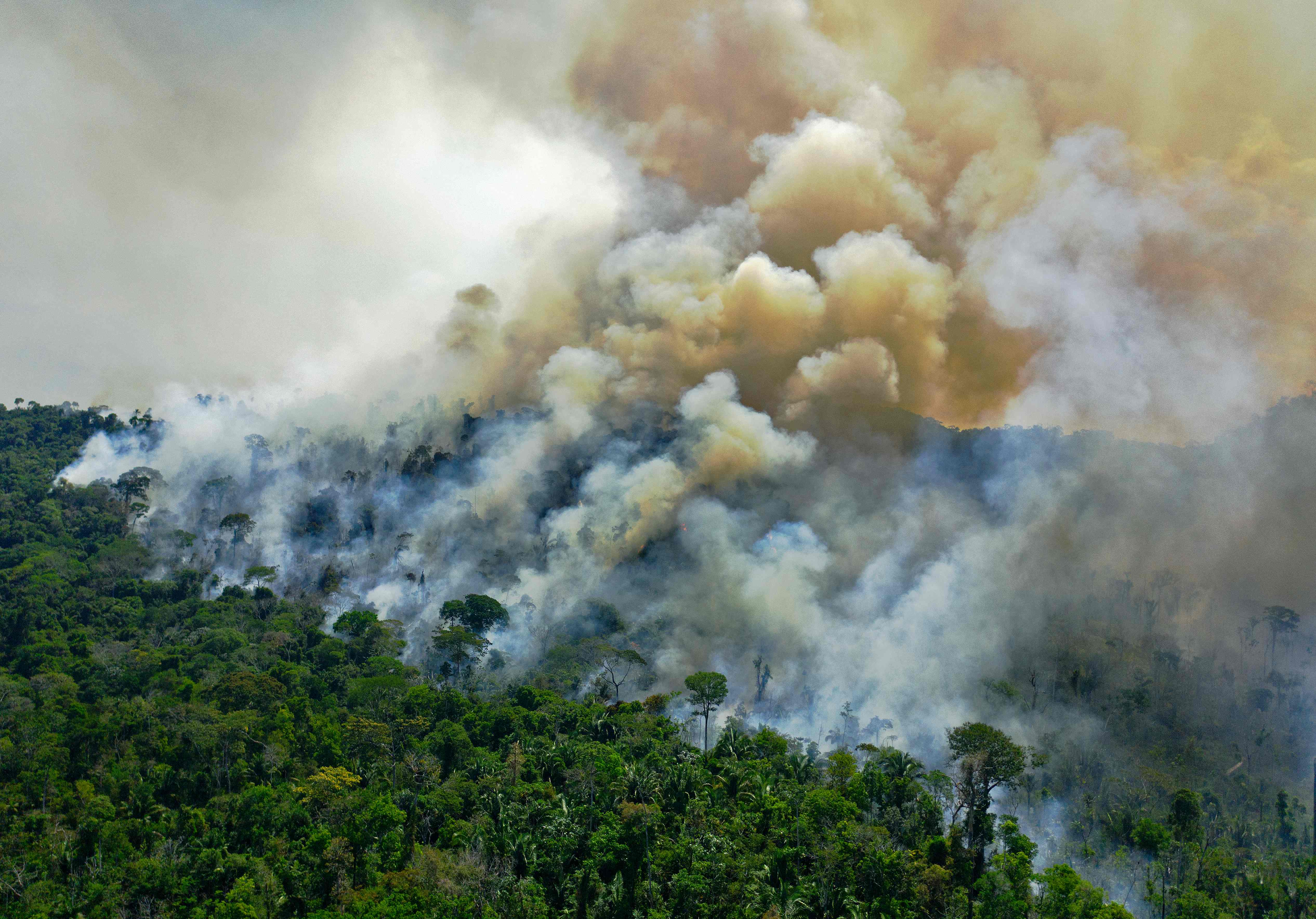 <p>A wildfire in the Amazon rainforest reserve, south of Novo Progresso in Para state, Brazil</p>