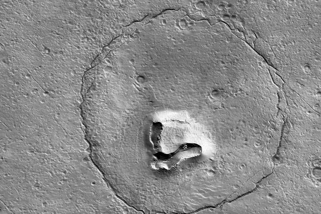 <p>Rock formation on Mars looks like a bear’s face</p>