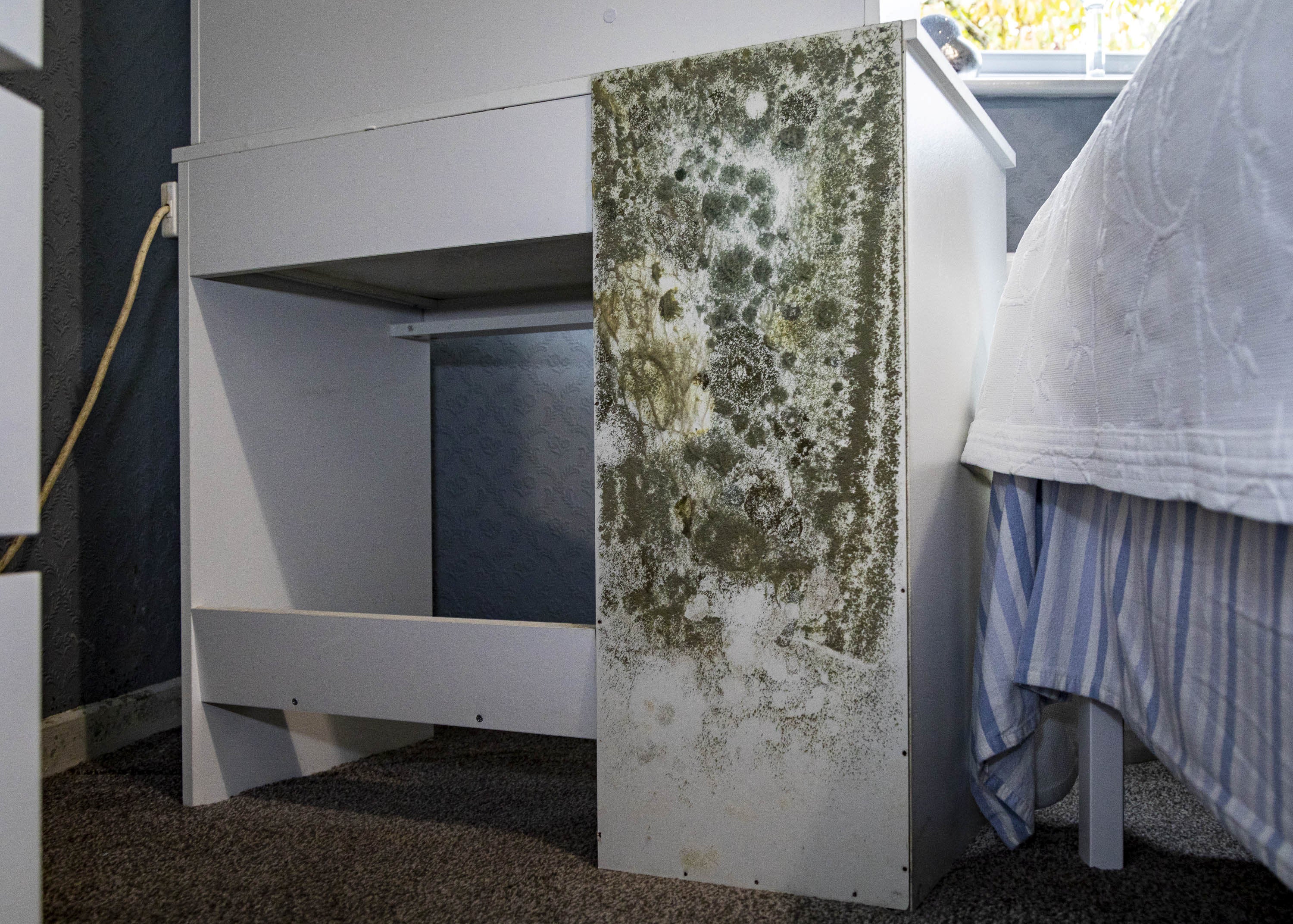 Tenants say they have tried everything from anti–mould spray, dehumidifiers and portable heaters to tackle mold and damp