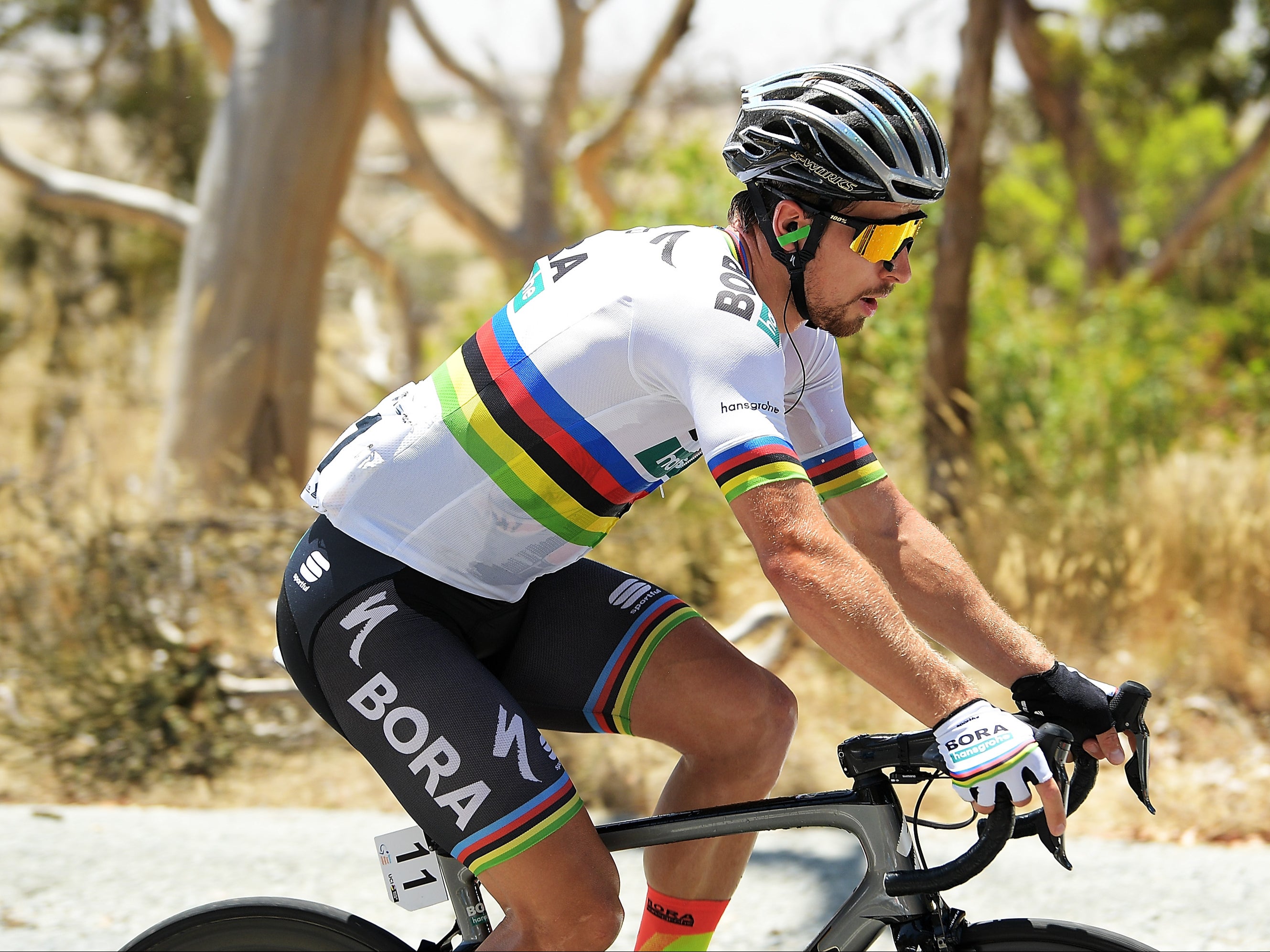 Peter Sagan won three consecutive world titles on the road