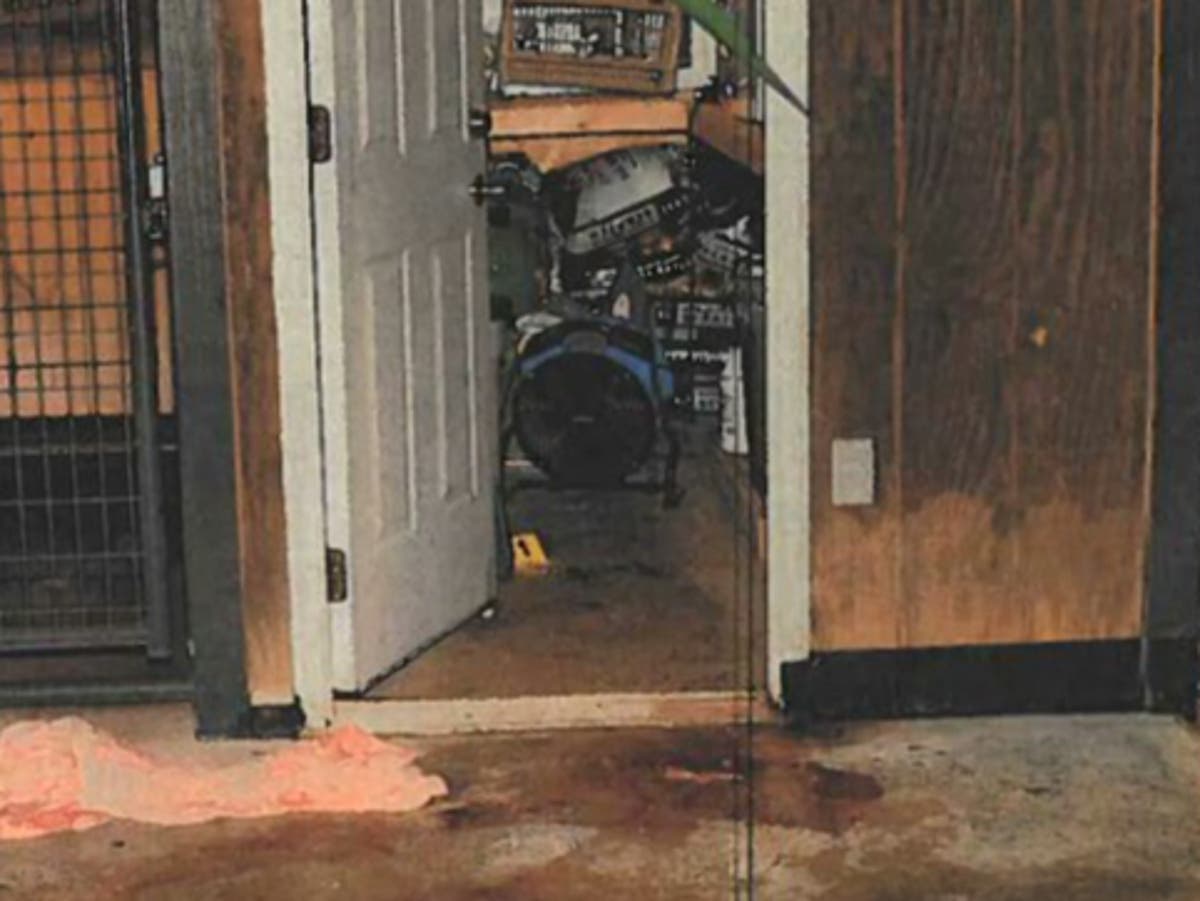 Alex Murdaugh trial shown crime scene photos of bloody dog kennels
