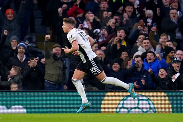 Tom Cairney celebrates his equaliser for Fulham (John Walton/PA)